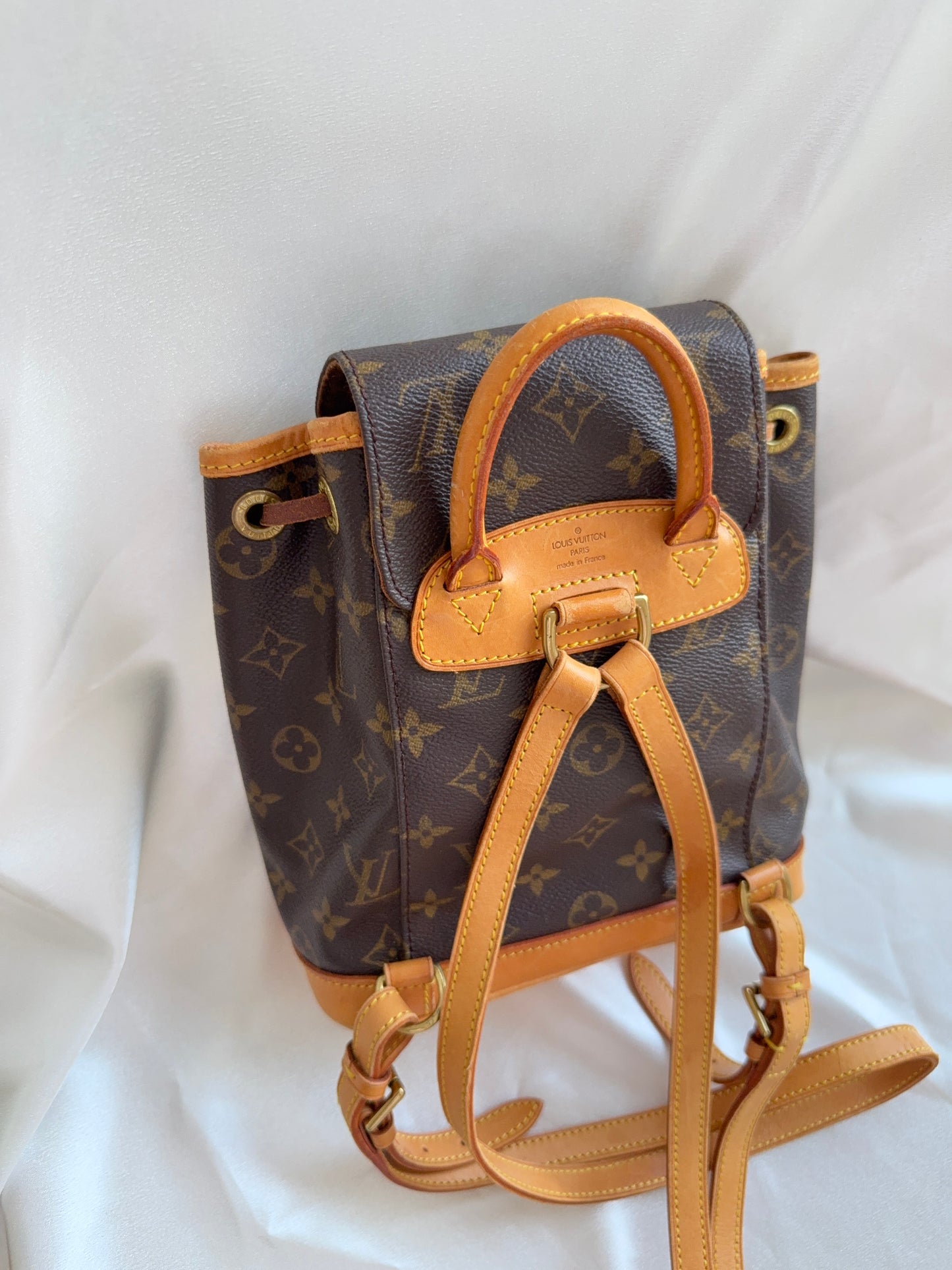Louis Vuitton Montsouris pm mini backpack