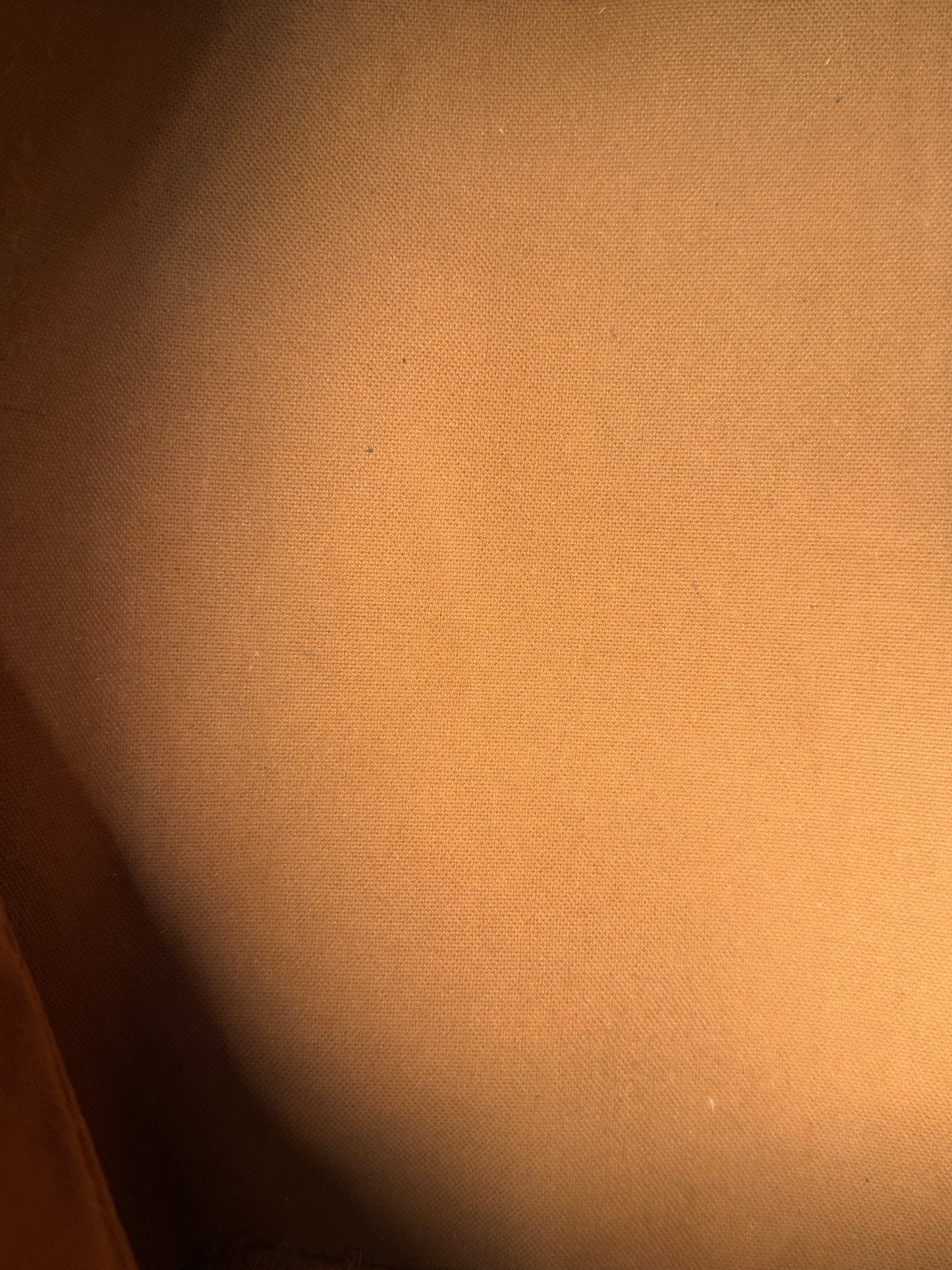 Louis Vuitton speedy 25