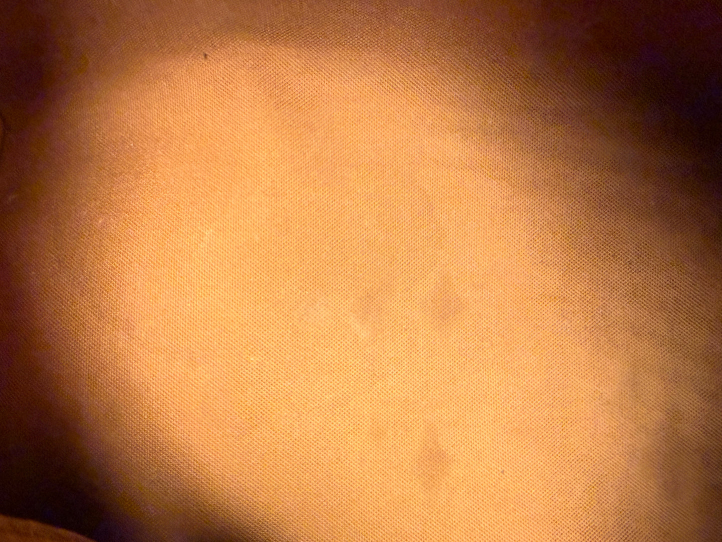 Louis Vuitton Speedy 25