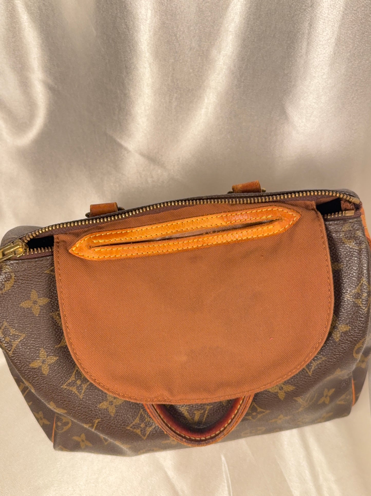 Louis Vuitton Speedy 25