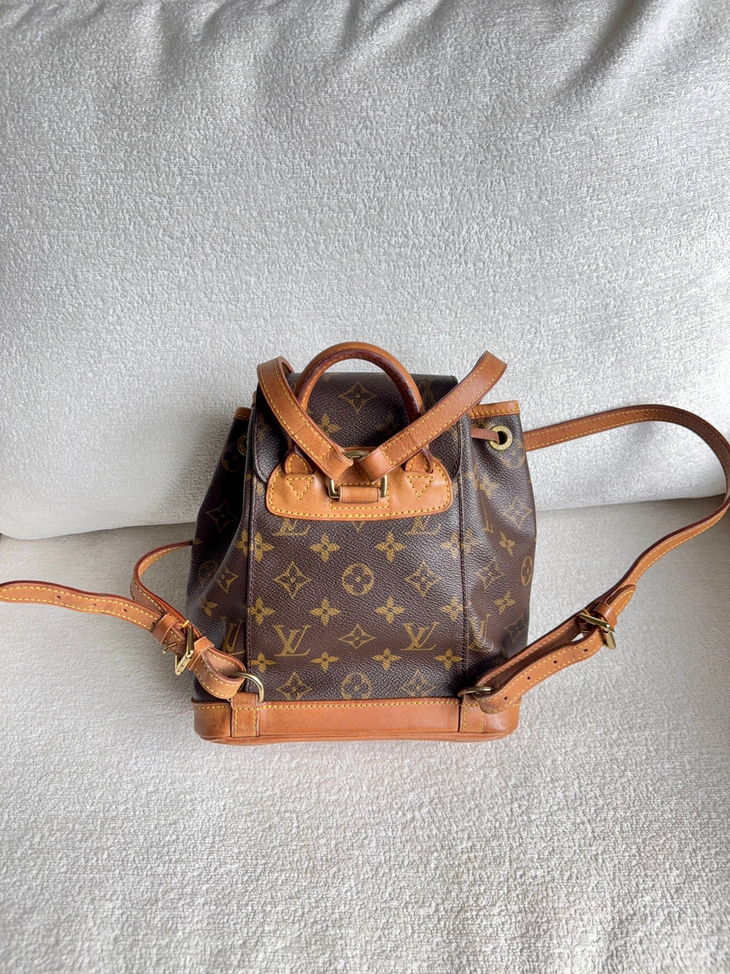 Louis Vuitton Montsouris pm mini backpack