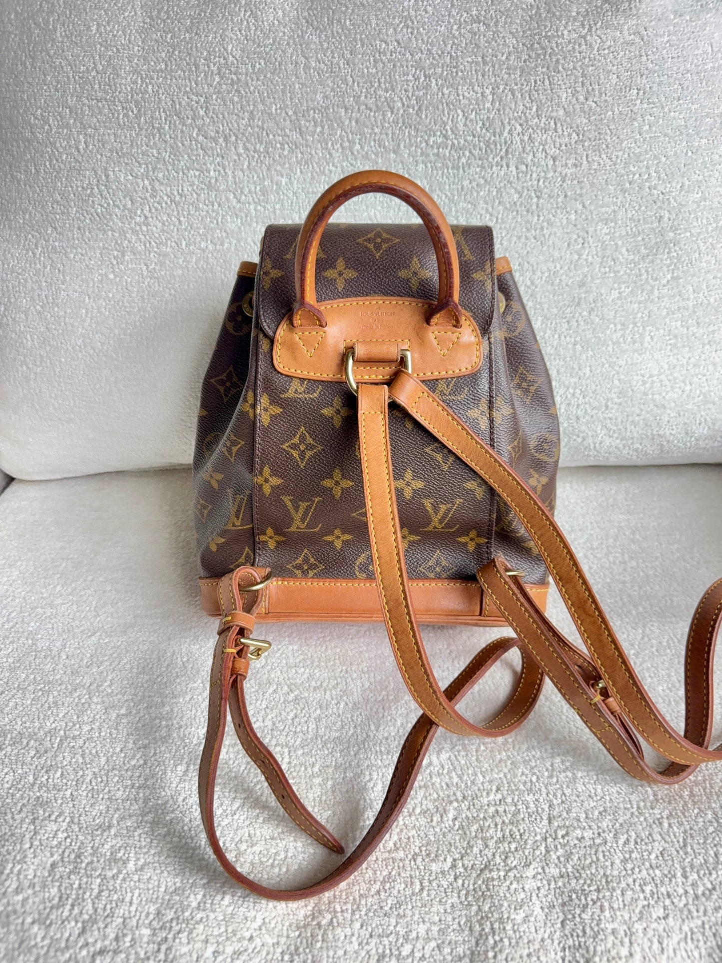 Louis Vuitton Montsouris pm mini backpack