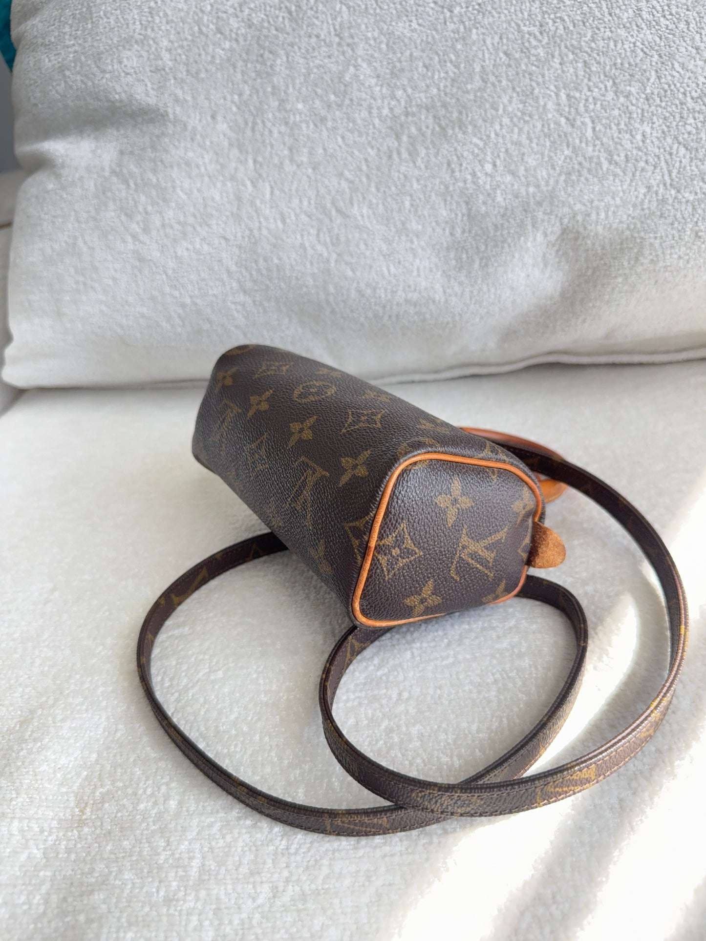 Louis Vuitton speedy mini
