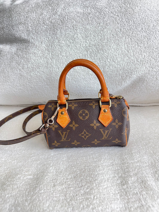 Louis Vuitton speedy mini