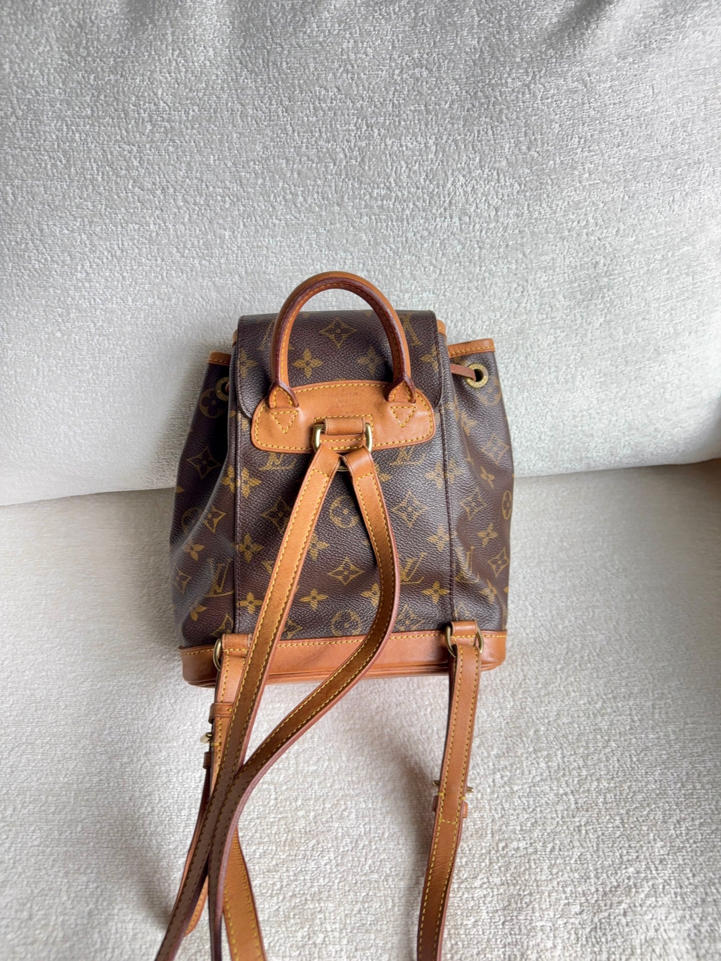 Louis Vuitton Montsouris pm mini backpack