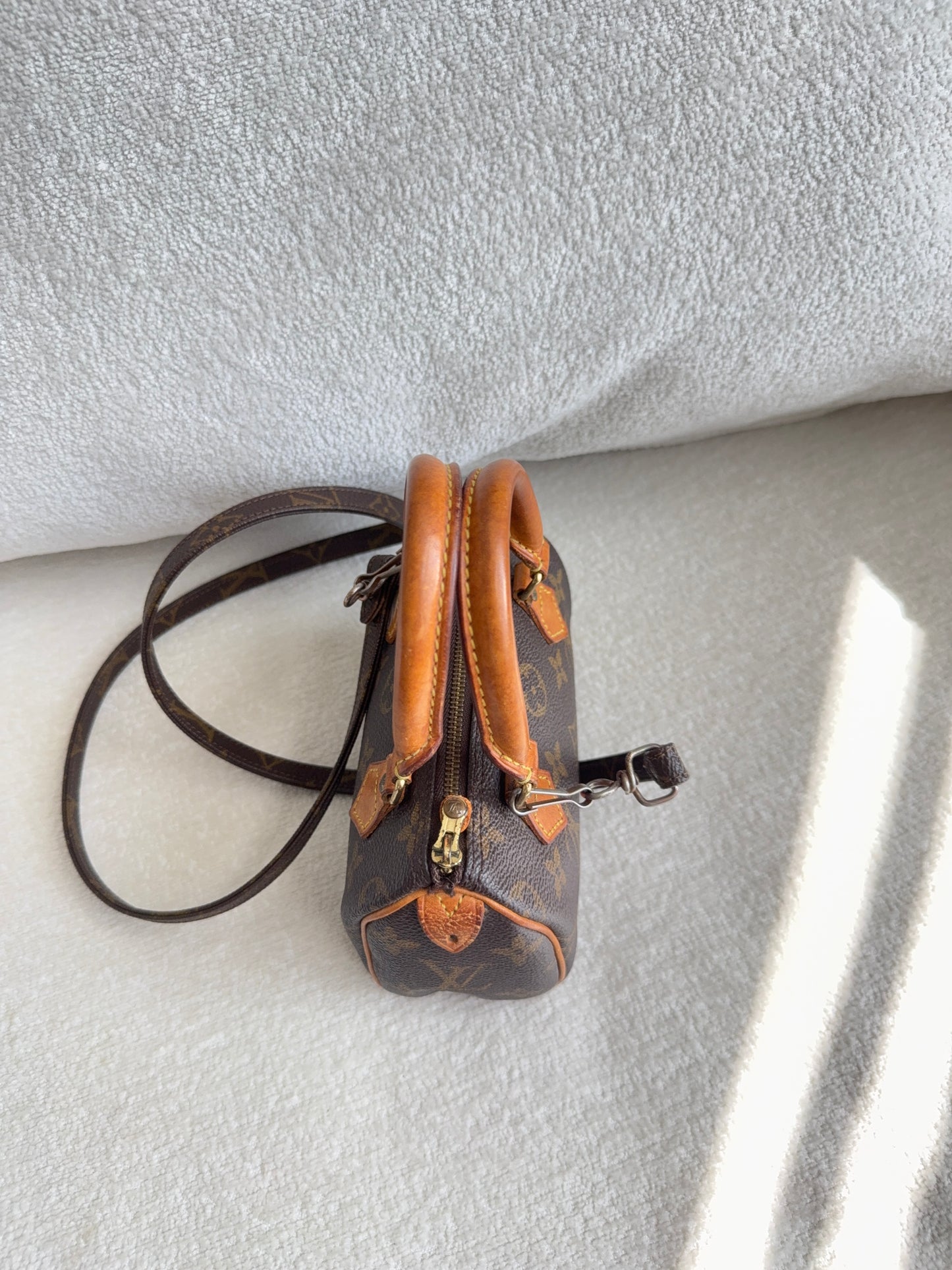 Louis Vuitton speedy mini