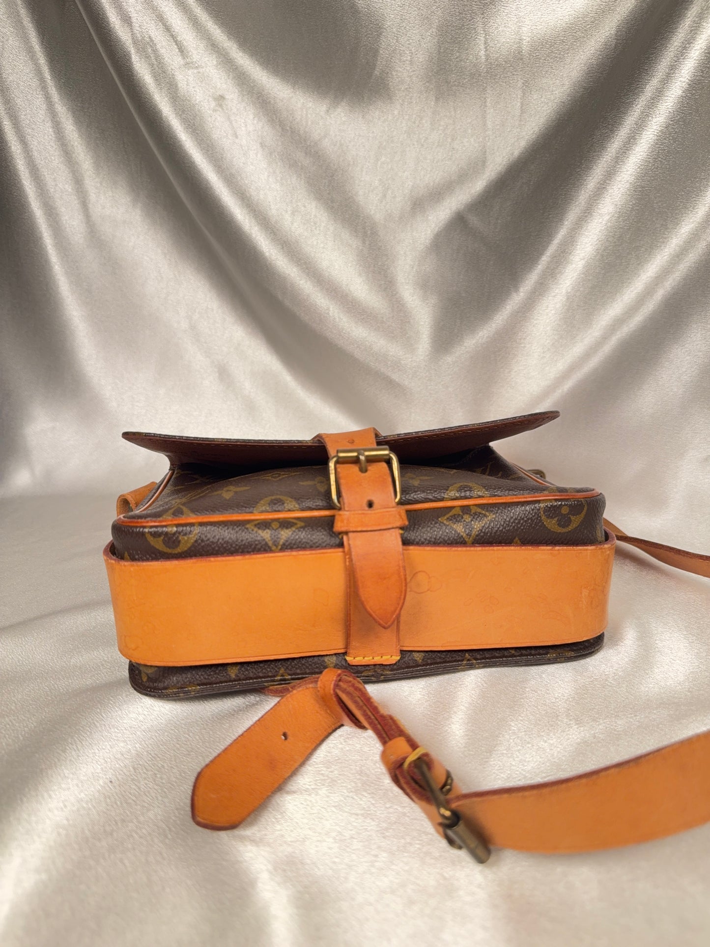 Louis Vuitton Cartouchiere MM