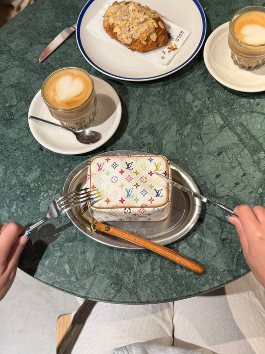 Louis Vuitton Multicolor Wapity case