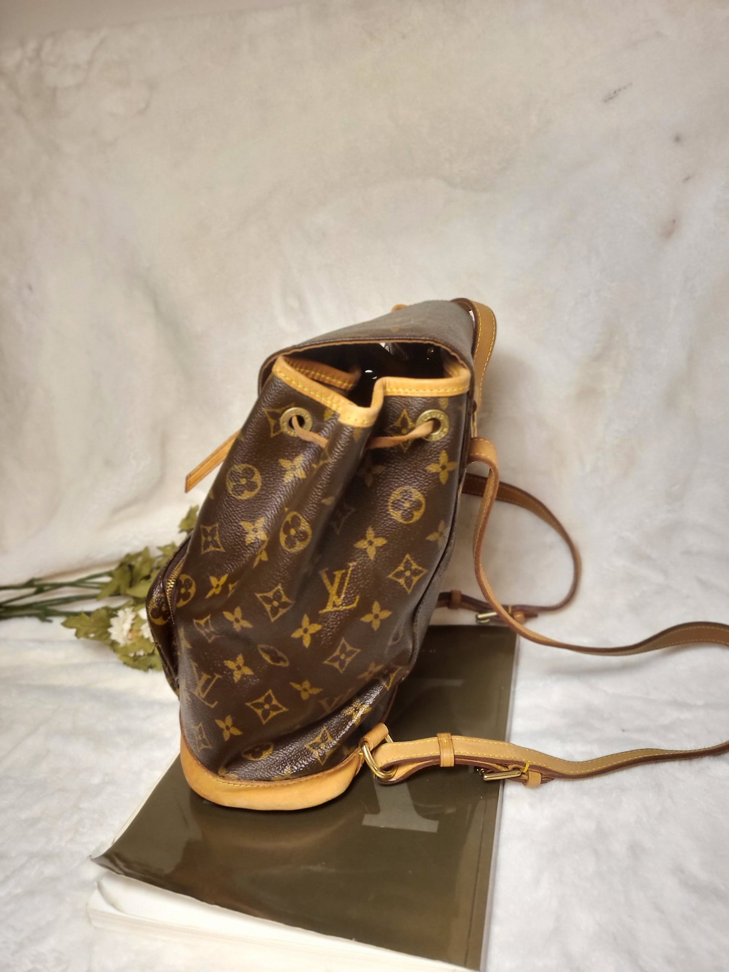 Authentic pre-owned Louis Vuitton Montsouris mm backpack