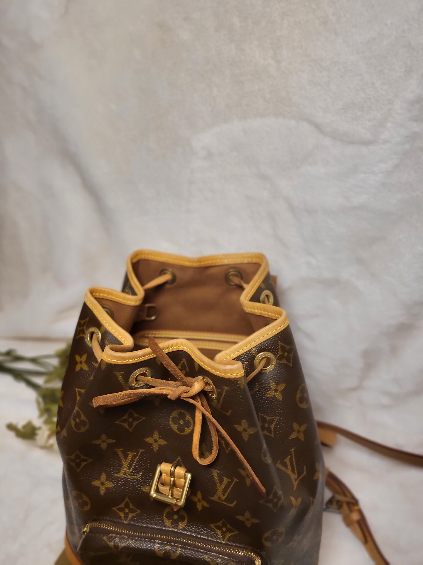 Authentic pre-owned Louis Vuitton Montsouris mm backpack