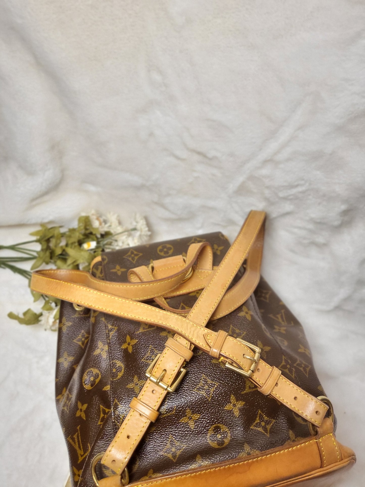 Authentic pre-owned Louis Vuitton Montsouris mm backpack