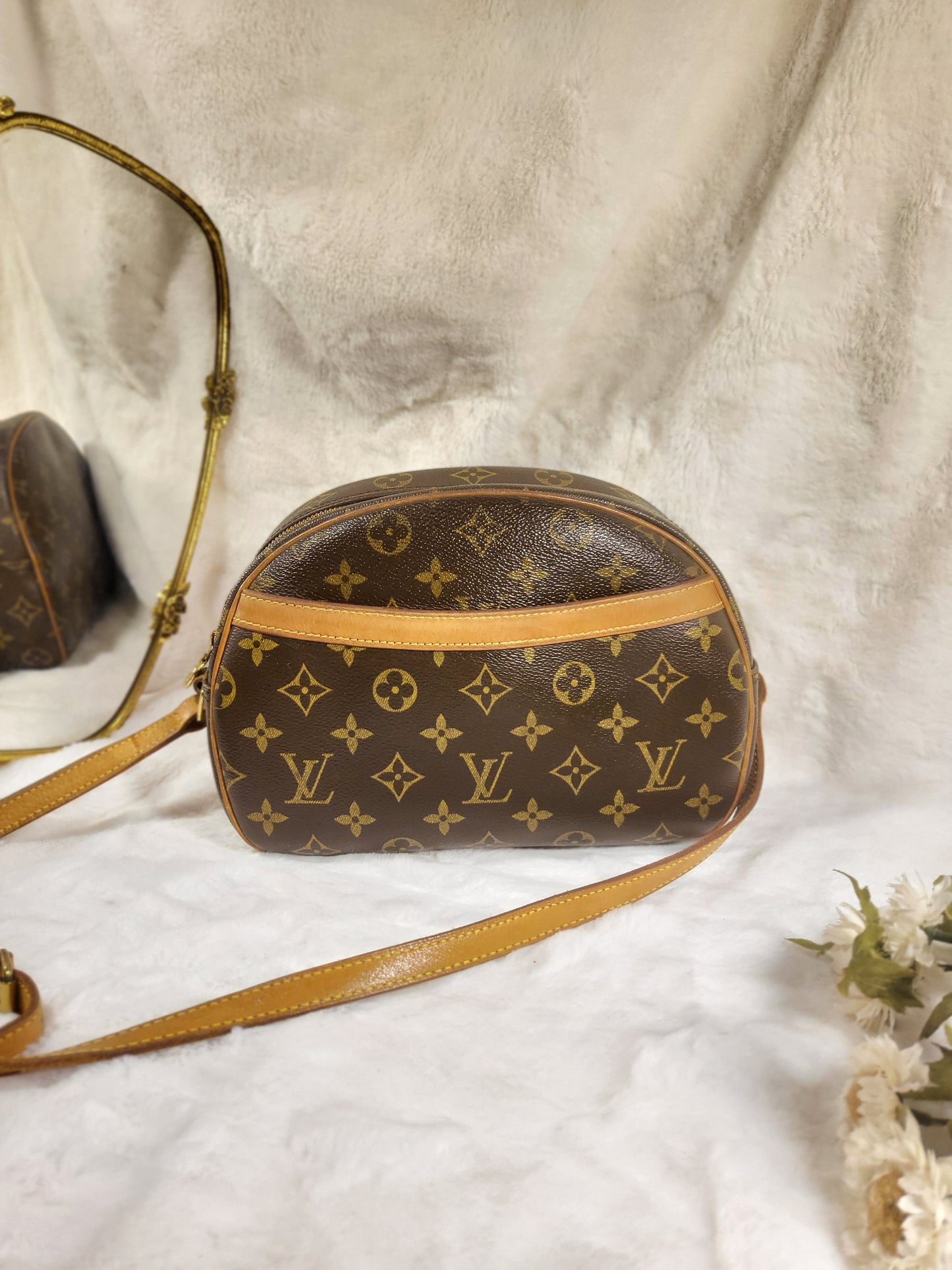 Pre-Owned Louis Vuitton Blois Monogram Brown Crossbody Bag 