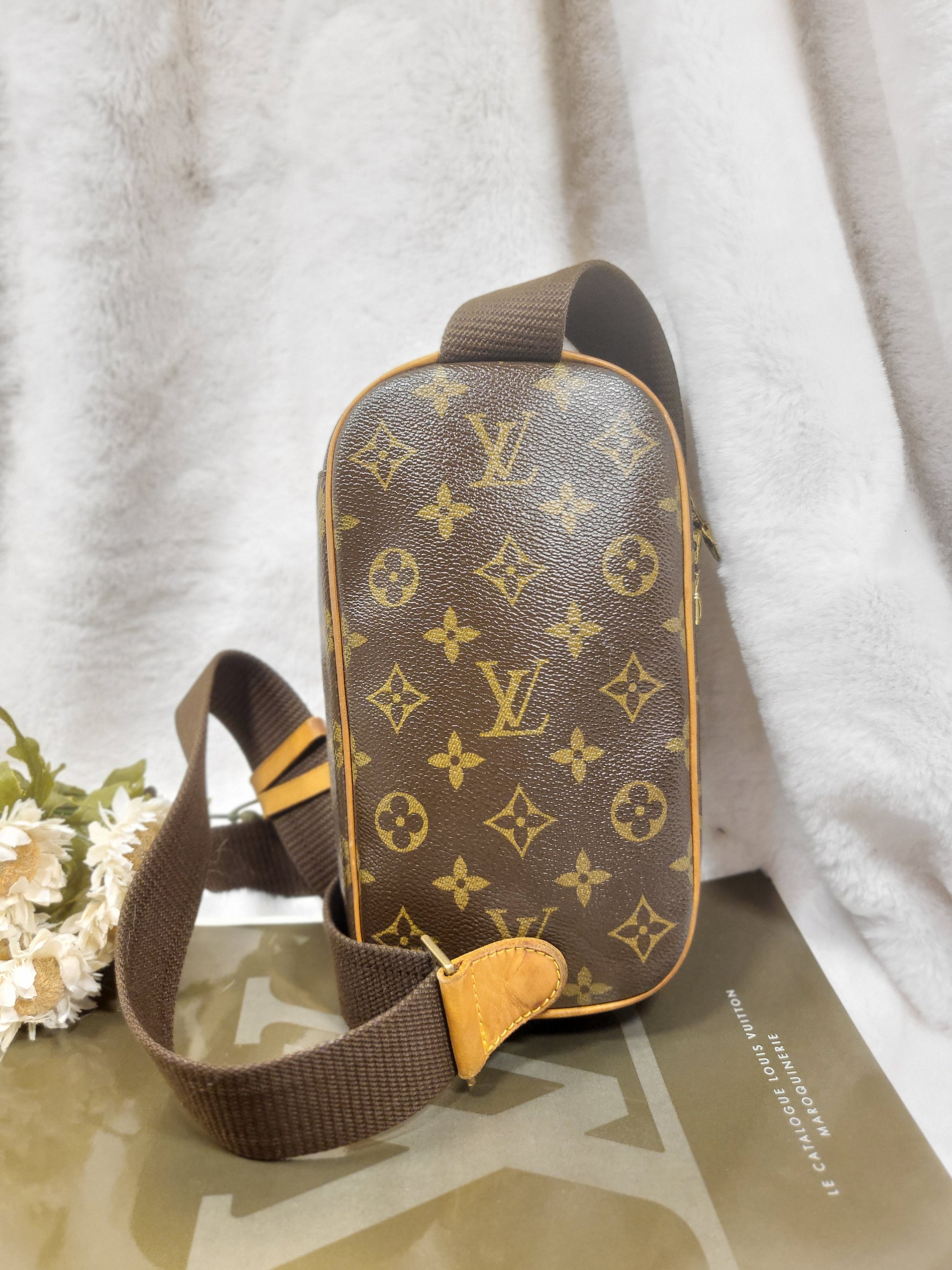 Louis Vuitton, Bags, Louis Vuitton Monogram Gange Bum Bag Belt Bag  Crossbody