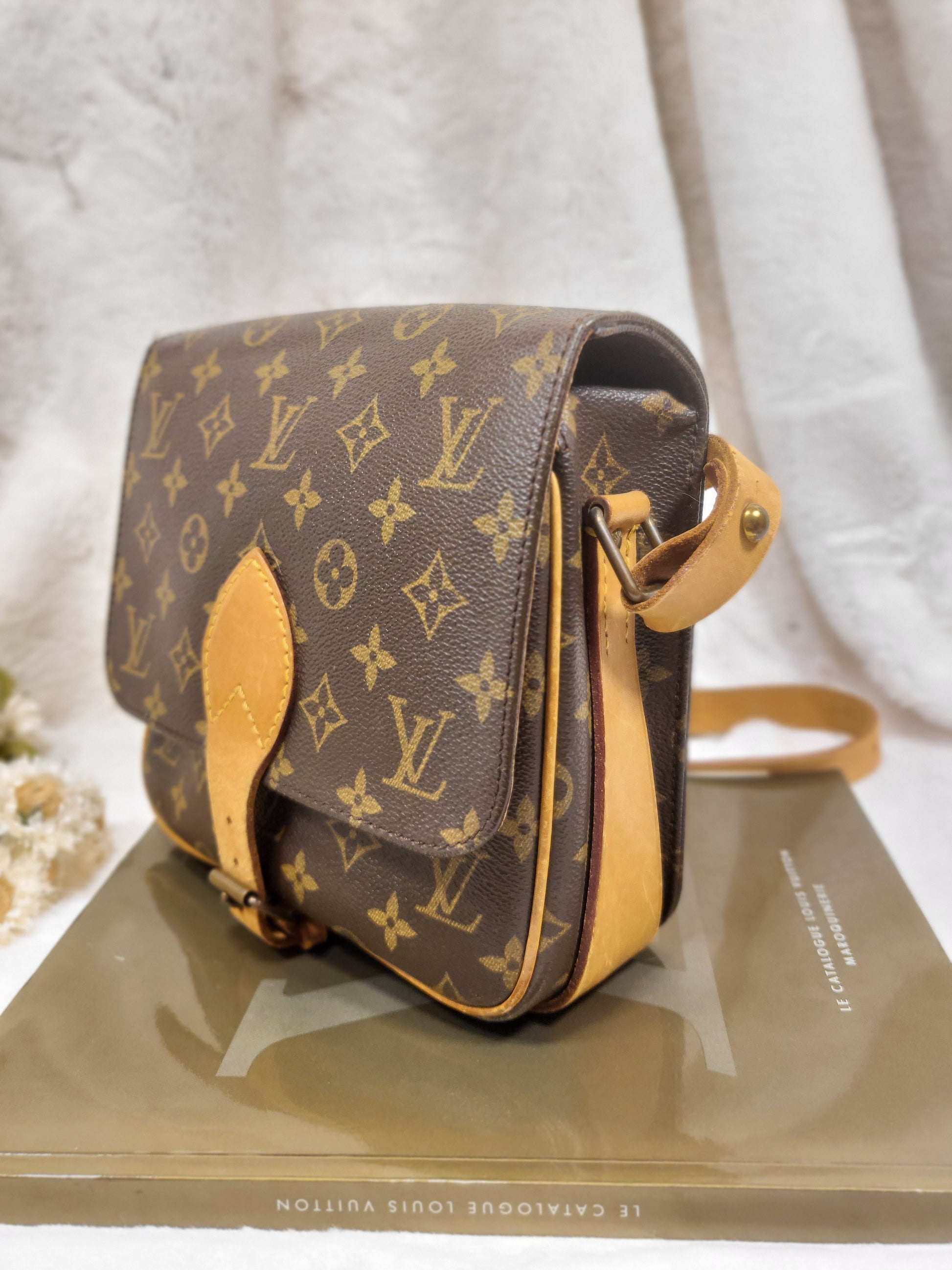 Louis Vuitton, Bags, Authentic Louis Vuitton Cartouchiere Mm Shoulder Bag  Crossbody