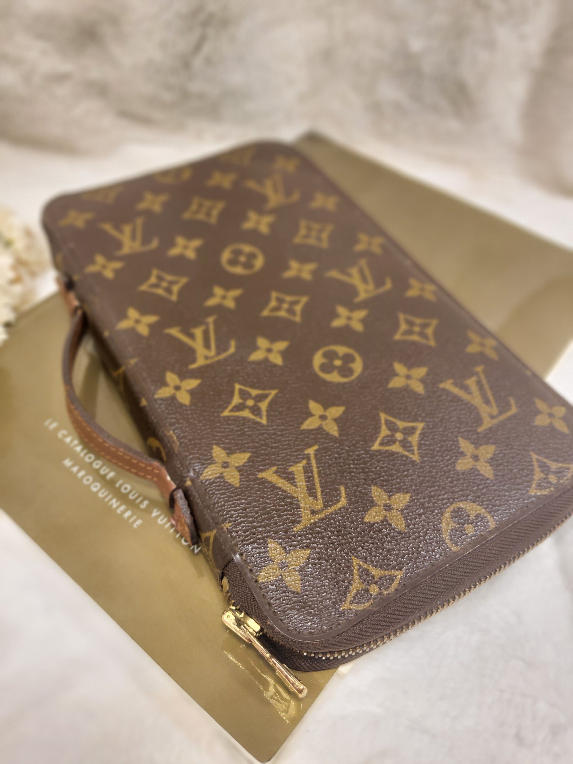Second Hand Louis Vuitton Organizer Bags Tote